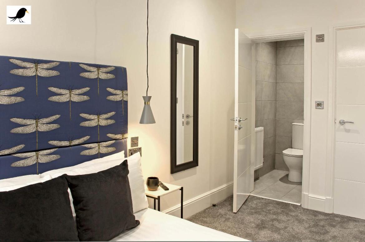 Apartment Blackbird And Luxury 11 Blackpool